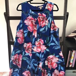 {DressBarn} Blue and Floral Dress